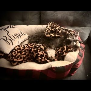 Meet your Posher, Ashlee